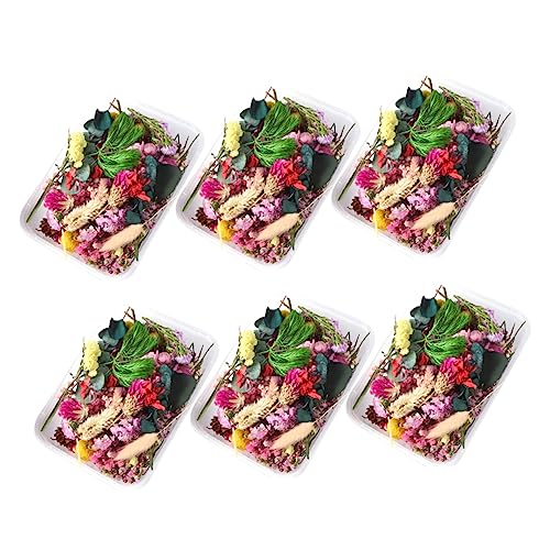 Set de flores secas naturales para manualidades 10 colores