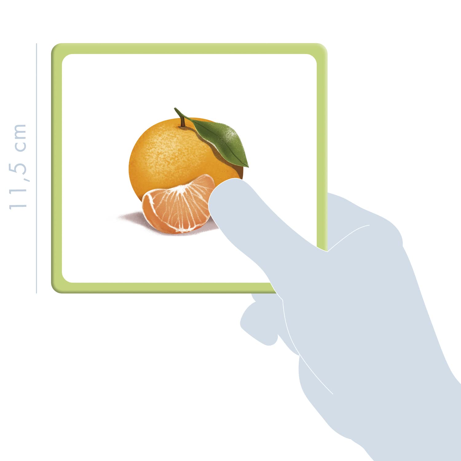 Avenue Mandarine, Ref JE509C, Multilingual Picture Cards, Fruits, Features 10 European Languages, 24 Beautiful Illustrations - Image 3