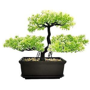 MOVKZACV KÃ¼nstliche Bonsai-Baumd...