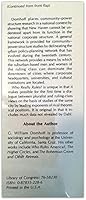 Who Really Rules? New Haven and Community Power Reexamined 0876209657 Book Cover