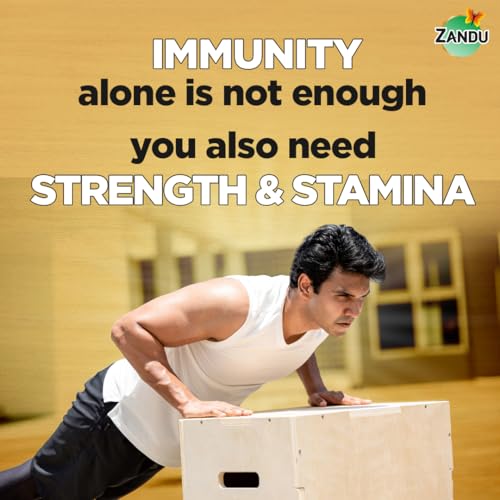 Zandu Shilajitprash, combination of Shilajit and selected herbs of Chyawanpash, a powerhouse of 47 potent Ayurvedic herbs | 3 Action formula to boost strength, stamina &... - Image 2