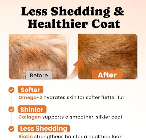 Cat Vitamin Treats with L-Lysine & Taurine — bottom and base construction detail