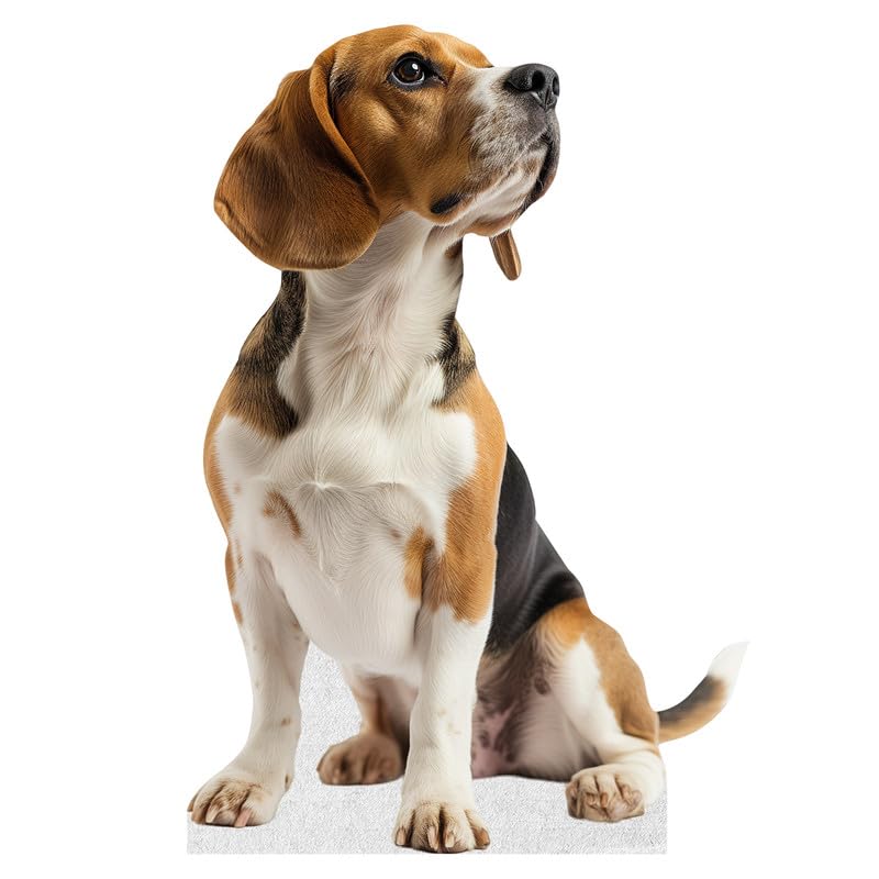 Dog - Beagle - Life Size Cardboard Cutout Standup People with Support Standee | Animals -