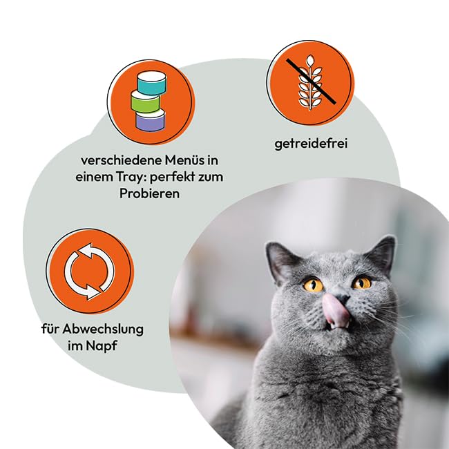 Grau – das Original – Nassfutter für Katzen - Mischtray Katze Generation Pet, 6er Pack (6 x 200 g)