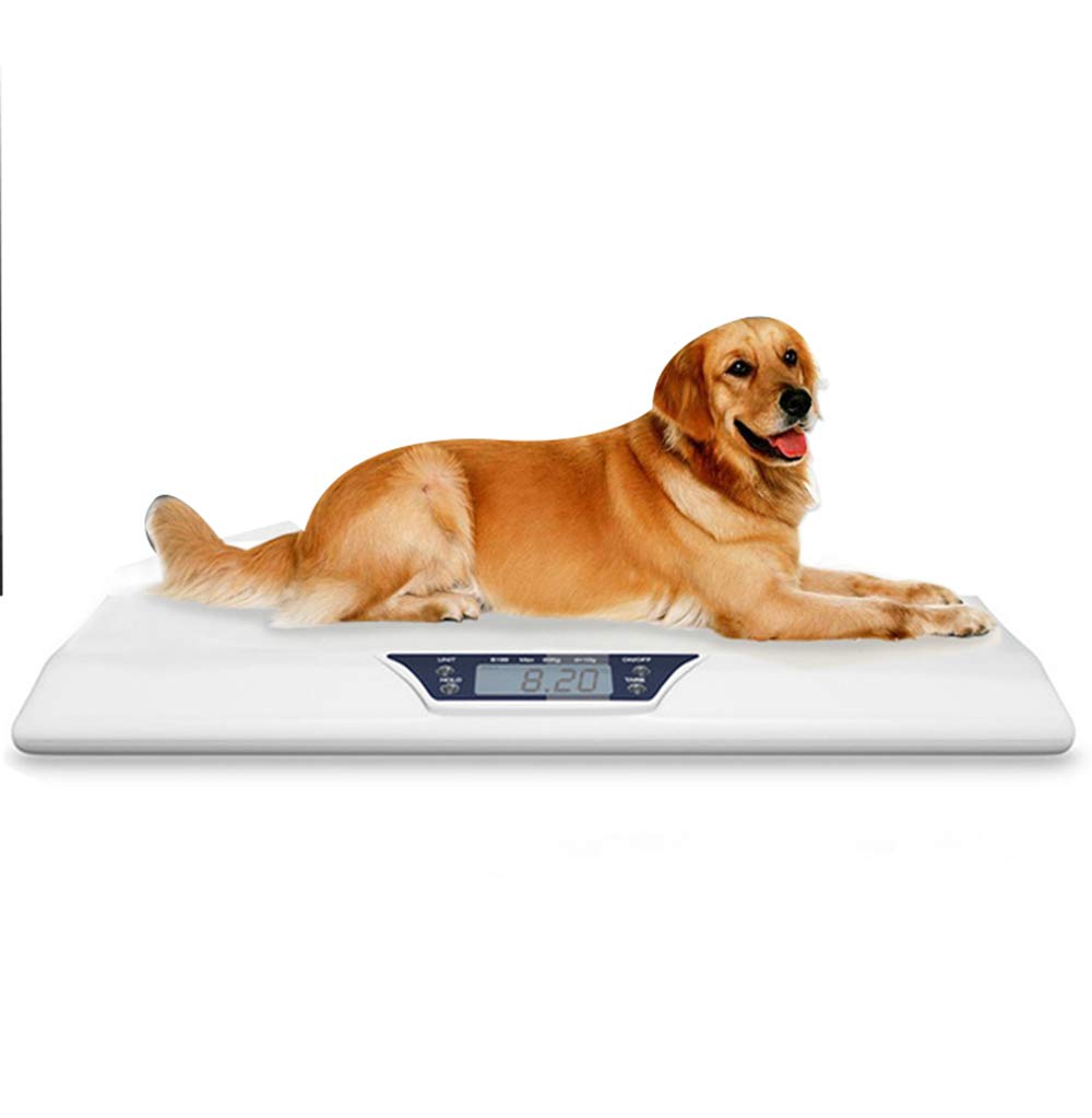 CGOLDENWALL Digitale Haustierwaage, Babywaage, 20 kg/10 g, Viehwaage, LCD-Display, gebogenes Komfort-Design, All-Inclusive Sicherheitsdesign