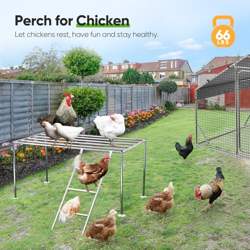 image for Quictent Large Metal Chicken Coop Run W/Roosting Perch for 30+ Poultry