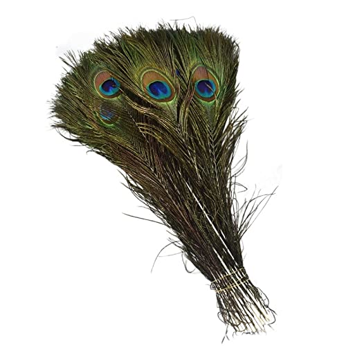 Plumas de pavo real for artesanías de 40-50CM y complementos de joyería lote de 50 piezas