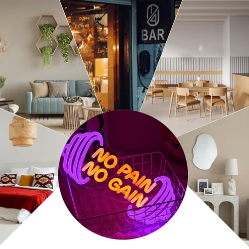 Image of No Pain No Gain Neon Sign Dumbbell Neon Light for Wall Decor,Gym LED Sign Wall Art,Dimmable LED Sport Light Sign for Gym,Fitness,Sports Club,Office