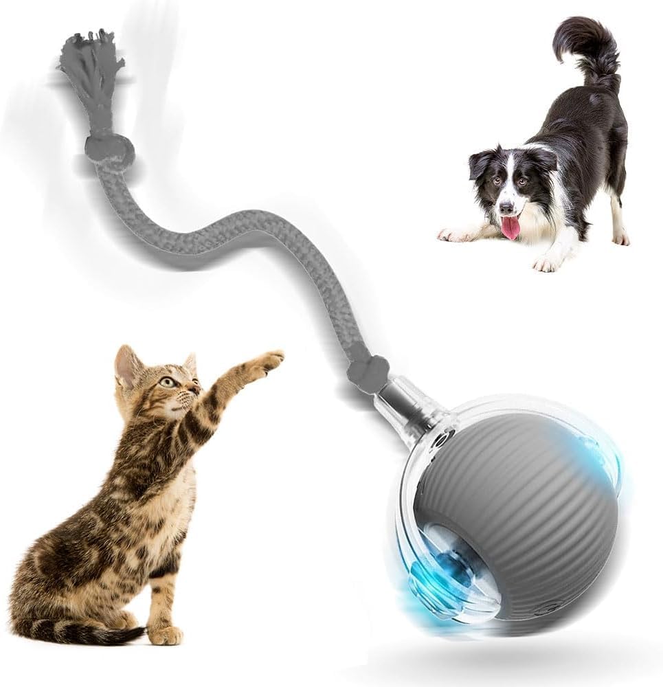 Interactive Rolling Dog Ball 2026 New Self Rolling Dog Ball Interactive Cat Toys Automatic Cat Toy Self Moving