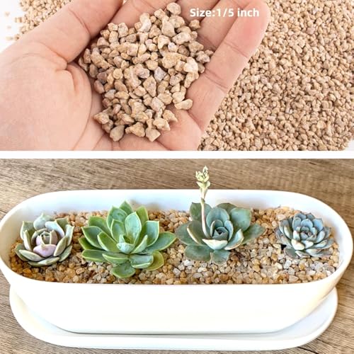 Image of 45lb Maifanitum Stones for Succulent Cactus Bonsai Decorative Rocks-Indoor Plants Soil Covers,Horticultural Gravel, Potting Pebbles for Terrarium, Fairy Gardening, Top Dressing