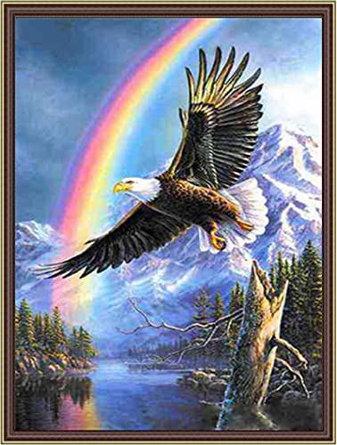 Funchey Stamped Cross Stitch Kits Beginners Full Range Of Embroidery Starter Kits For Adults Printed Cross Stitching Diy Needlepoint Kit 11Ct-Rainbow Eagle 15.7×19.7 Inch #TOP14