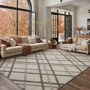 HUGEAR 8x10 Shag Area Rug Brown Modern Neutral Medium Plush Pile Super Soft Indoor Fuzzy Carpet Non Slip Non-Shedding Easy Care 0.5-inch Thick for High Traffic Areas in Living Room Bedroom D
