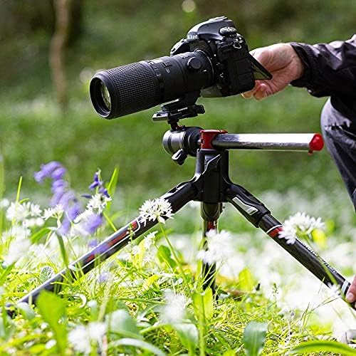 Manfrotto Befree GT XPRO Aluminium Tripod set up for macro photography in a field