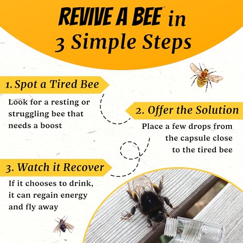 Revive a Bee Black Bee Revival Kit Keychain with Sugar Syrup to Help Rescue Bees - A Perfect Bee-Saving Gift