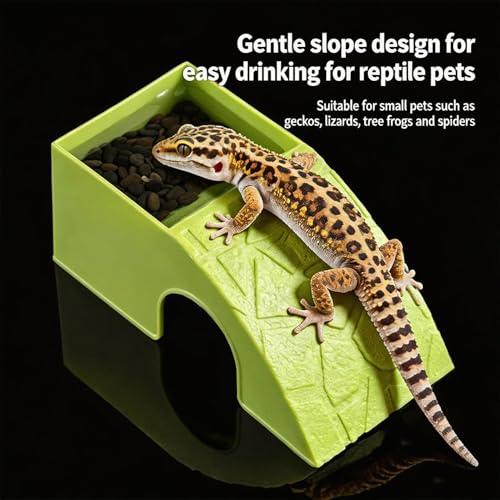 Reptilien- Futterschale- Wasserbecken- Stange, Terrarium- Unterschlupfrahmen, Grotten- Set, Futtermanagement- Gelenk, Arbeitsplatz- Utility für Ernährung, stabile Positionierung, Versteck, B-5