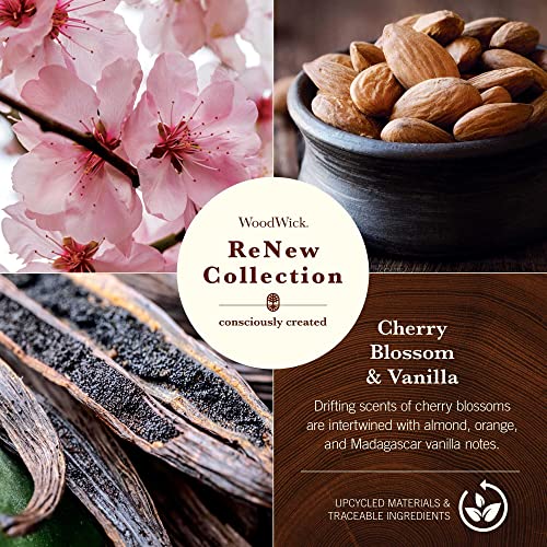 WoodWick® Renew Medium Candle, Black Currant & Rose Scented Candles, 6oz, Plant Based Soy Wax Blend, Made with Upcycled Materials and Essential Oils, Up to 55 Hours of Burn Time - Image 3