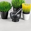 Product Photo 5