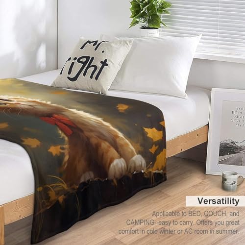 Couverture lit chat mignon plaid chaud et doux lavable en machine