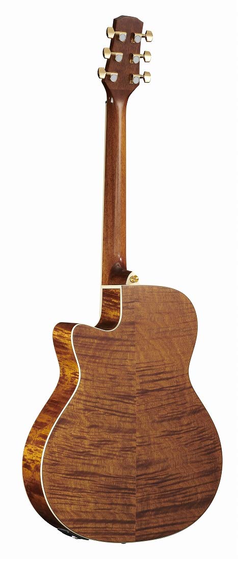 Amazon | MORRIS R-021 NAT (ナチュラル) エレアコギター トップ単板