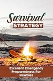 Survival Strategy: Excellent Emergency Preparedness For Newbies (English Edition)