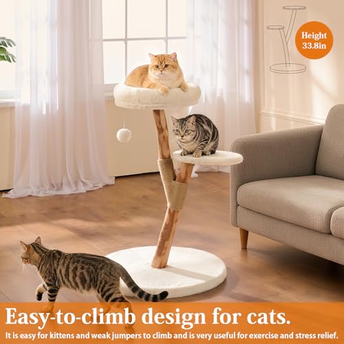 Torre Moderna para Gatos de Interior con 2 Niveles y Poste de Madera miniatura 2