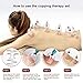 AIKOTOO Cupping Therapy Set, 24 Massage Cups Cupping Set with Pump Vacuum Suction Cups for Body Cellulite Massage Back Pain Relief, Chinese Acupoint Physical Hijama