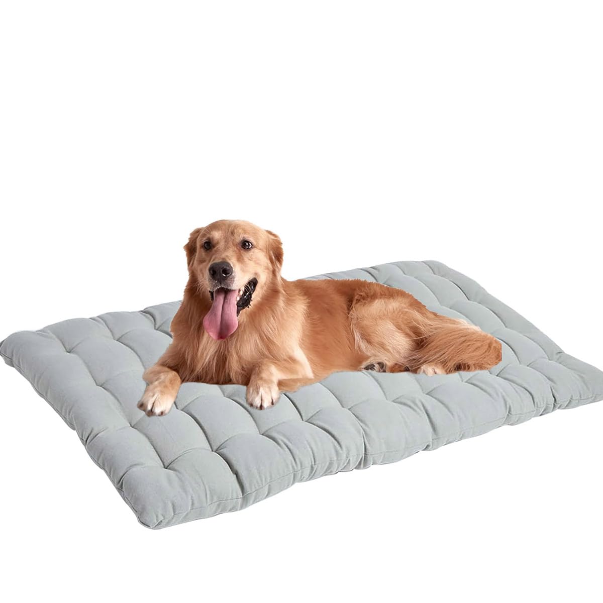 Grand lit de cage pour chien résoud le stress nocturne avec tapis lavable XXL épais