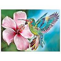 DPHERO Diamant Painting Kolibri Set - 5D Runde Steine 30x40cm DIY Kunst