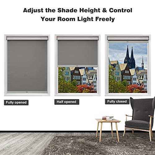 Myshade Blackout Roller Shades For Windows, Cordless Roller Window Shades, Roll Up Window Blinds With Thermal Insulated, Uv Protection, Easy To Install For Home And Office 25" X 72"(Grey) #TOP5