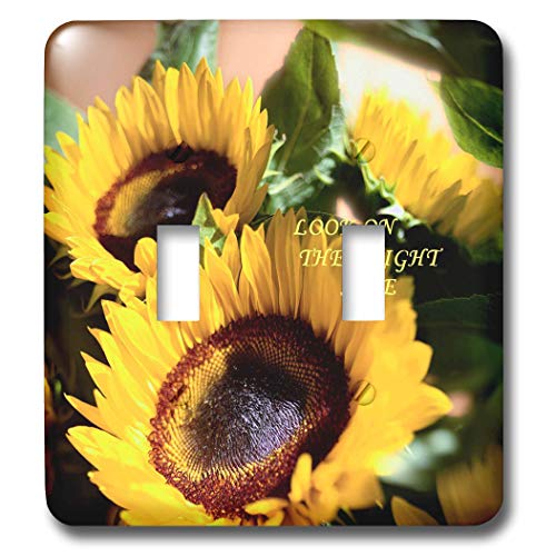 3dRose lsp_62311_2 interruptor de luz decorativo de diseño exclusivo para pared 2