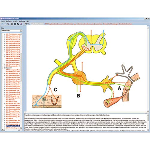 Sistema nervoso e trasmissione delle informazioni Parte II, CD-ROM interattivo