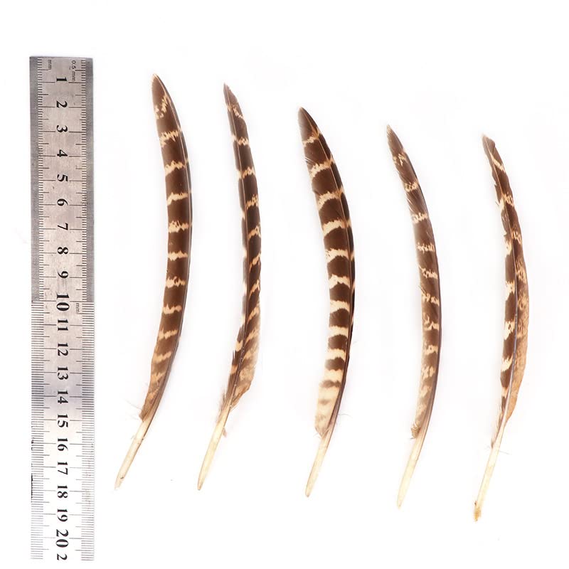 MAHAVIMOKSA 200pcs Mixed 8 Styles Natural Feather for DIY Craft Earring Wings Wedding Party Home Decoration