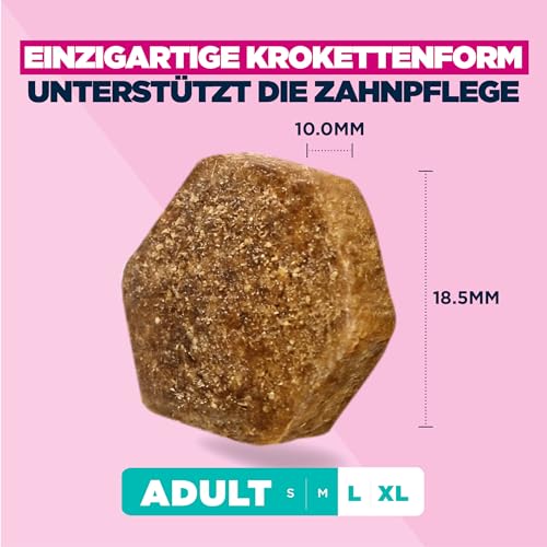 Eukanuba Hundefutter Trocken mit frischem Huhn für große Rassen, Premium Trockenfutter für ausgewachsene Hunde, 3 kg