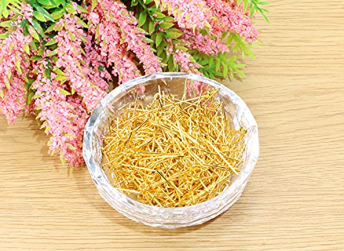 Shapenty 500Pcs Mini Metal Wire Eyepins Beading Small Open Eye Head Pins Needles Bulk For Diy Craft Bead Earring Pendant Necklace Bracelet Jewelry Charm Finding Making (Gold, 24Mm/1Inch) #TOP1