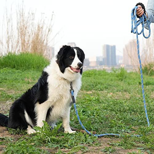 Ntr Heavy Duty Dog Leash,15Ft Long Rope Leash For Dog Training With Swivel Lockable Hook,Reflective Threads And Comfortable Handle,Dog Lead For Walking,Hunting,Camping For Medium And Large Dog #TOP5