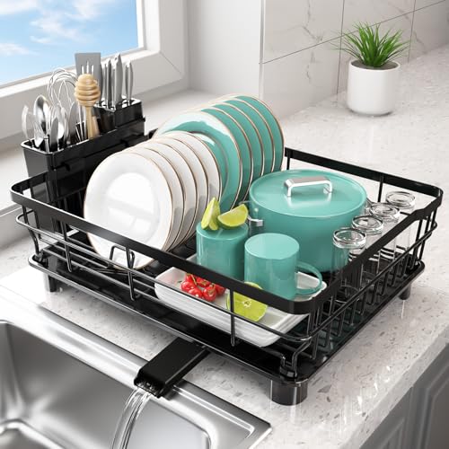 Ricobes Dish Drying Rack for Kitchen Counter,12.8" W x 16.9" L,Black