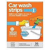 10 Best Eco-Friendly Car Cleaning Products for a Spotless, Gree… 14 Nature Clean Foaming Car Wash So