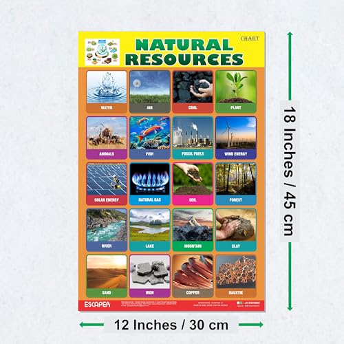 Image of ESCAPER Natural Resources Educational Charts for Kids, (11.5 x 17.5 inches) Printed On 300 GSM, Laminated, Self Adhesive Back, Kids Study Material, Learning Chart, Educational Posters