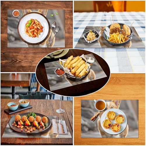 Set de table PVC Corgi lavable et imperméable : protection de table cuisine et repas extérieur