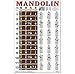 Mandolin Classic Style Easy Chord & Fretboard Note Chart Instructional Poster for Beginners Chords & Notes A New Song Music 11