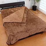 【TV・ラジオショッピング紹介商品】HOTTEX エクストラカシミヤタッチ 新発熱毛布セット 100737 (ダブル, ブラウン)