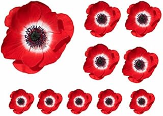 Poppies Flower Decals Car Stickers Graphics Nursery Wall Window Decorations Art 10 Pack (10)