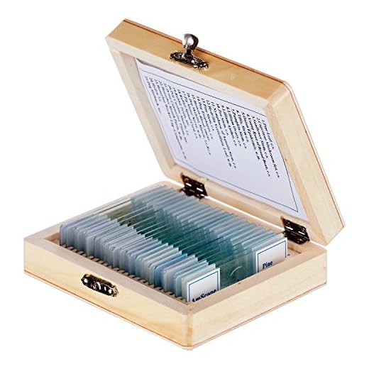 AmScope PS25 Prepared Microscope Slide Set for Basic Biological Science Education, 25 Slides, Includes Fitted Wooden Case