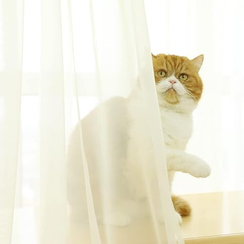 Vista 66 de Cortinas traslúcidas blancas para ventana de 95 pulgadas de largo, juego de 2 paneles de cortinas traslúcidas blancas para ventana con bolsillo