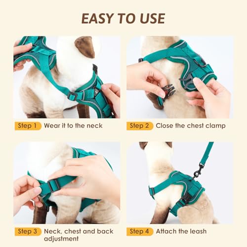 GlasFlength Katzengeschirr mit Leine Ausbruchsicher, Katzenleine mit Geschirr für Katzen Verstellbar Katzen Geschirr Set Cat Harness Softgeschirr für Katze mit Reflektierenden Streifen (Seeblau-M)