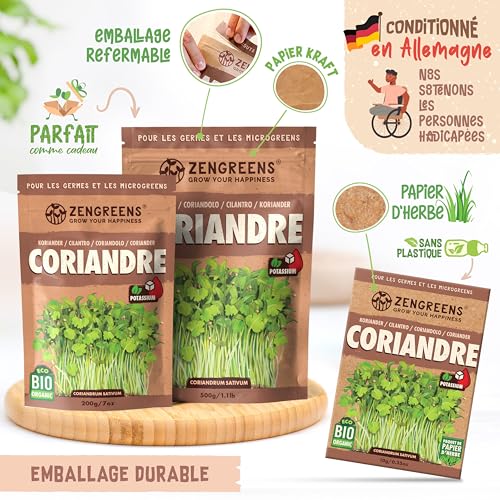 Graines de coriandre bio ZenGreens semences premium pour microgreens