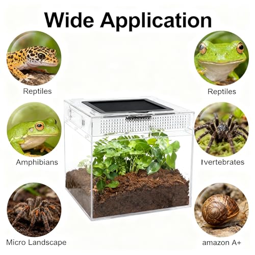 Terrarium pour reptiles anti-évasion avec aération optimale