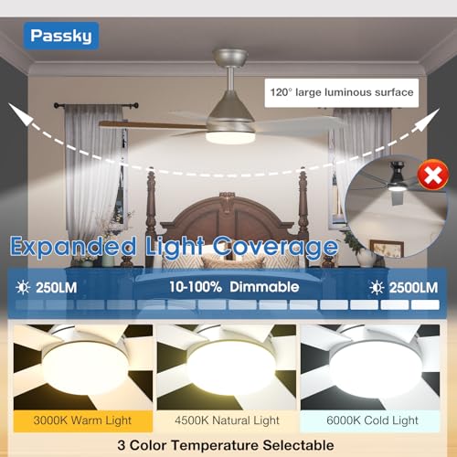 Image of Passky Ceiling Fans with Lights, 42 inch Sleek Ceiling Fan with Light and Remote Control, 3CCT, Dimmable, Reversible, Noiseless, Silver Ceiling Fan for Bedroom, Living Room