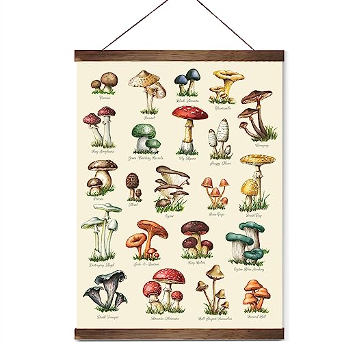 Vintage Mushroom Posters Wall Art Decor, Plant Posters Rustic Farmhouse
