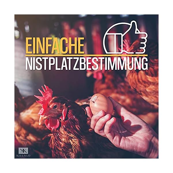 Kellago Holzeier Ostern Deko [ Ostereier BEMALEN ] 6X Holzeier für Osterdekoration - Ostern Basteln Kinder - Ostereier… – Bild 5